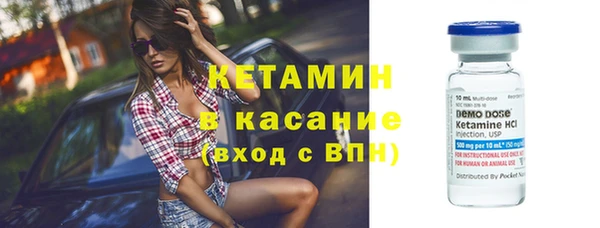 ПСИЛОЦИБИНОВЫЕ ГРИБЫ Инсар