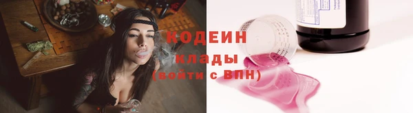ПСИЛОЦИБИНОВЫЕ ГРИБЫ Инсар