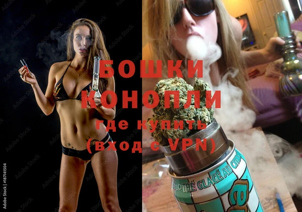 ПСИЛОЦИБИНОВЫЕ ГРИБЫ Инсар