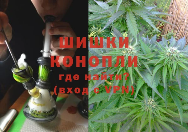 ПСИЛОЦИБИНОВЫЕ ГРИБЫ Инсар