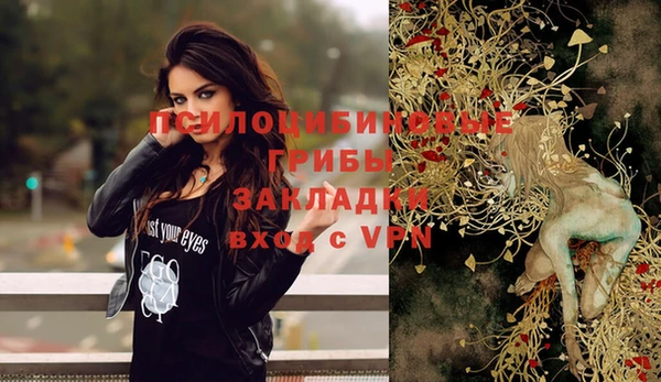 прущие крисы Инта
