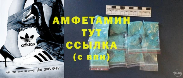 ПСИЛОЦИБИНОВЫЕ ГРИБЫ Инсар