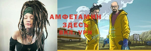 ПСИЛОЦИБИНОВЫЕ ГРИБЫ Инсар